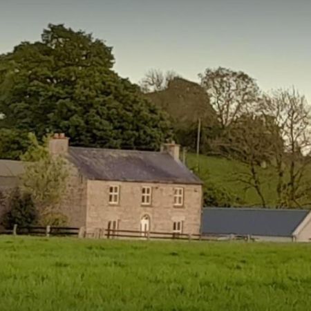 The Hollow Tullow Extérieur photo